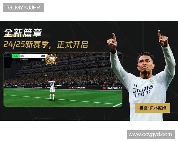 聚焦足球球星单张卡片收藏价值与稀缺性深度解析