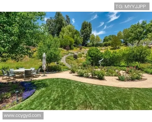 足球明星豪宅揭秘 球场之外的奢华生活与梦想居所